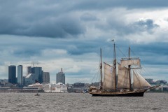 Tallinn Tall Ship Race 2024