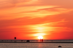 Rohuneeme rand päikeseloojang